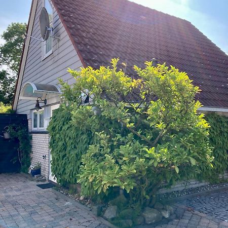 Gudrun 5 Pers Equipped House With Sauna. Dogs Are Welcome! Anjum Exterior photo